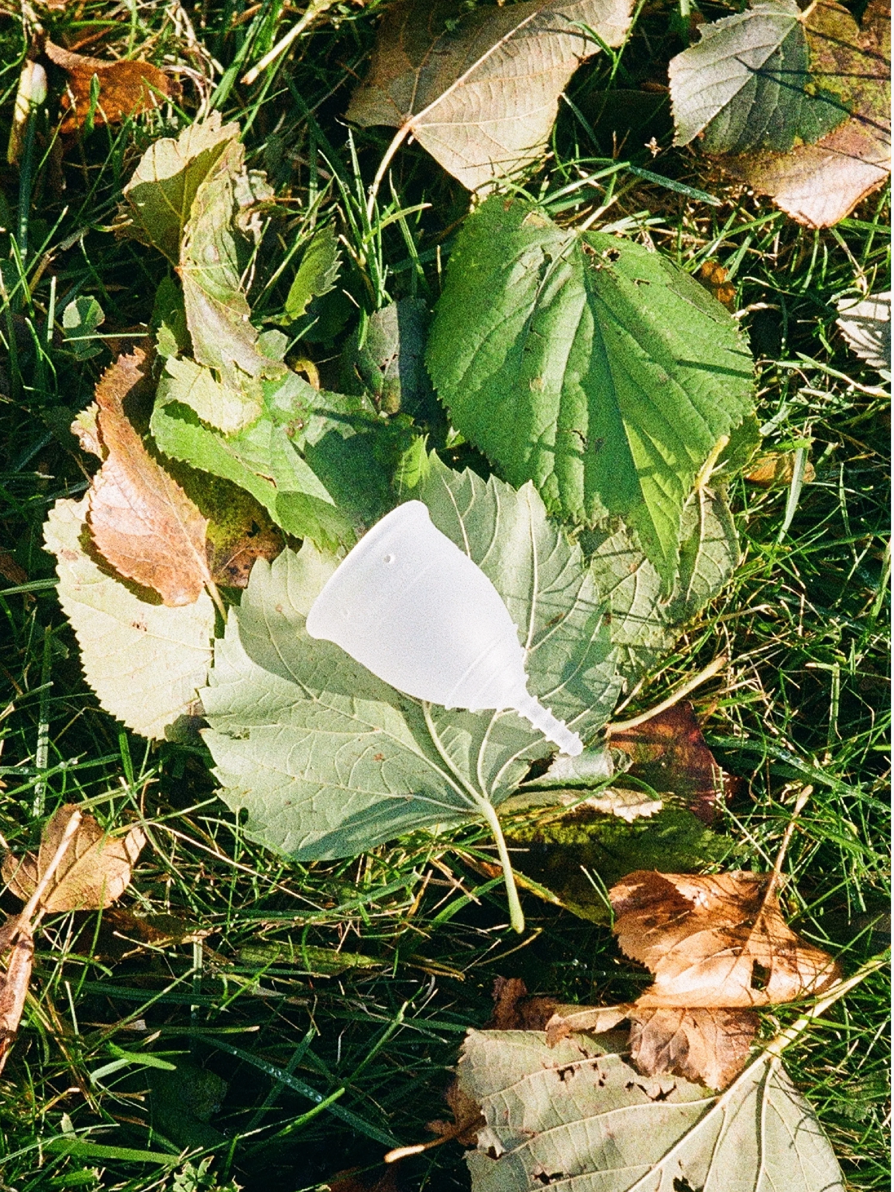 OrganiCup Menstrual Cup - Image 5